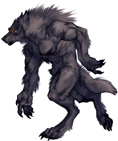 Sleepy Paladog On Twitter Werewolf Drawing Mythical Creatures Art