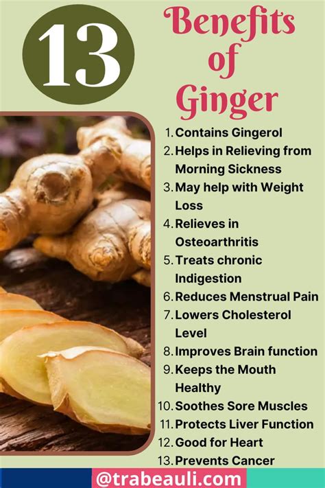 Health Benefits Of Ginger Best Beauty Lifestyle Blog In Ginger Benefits Health