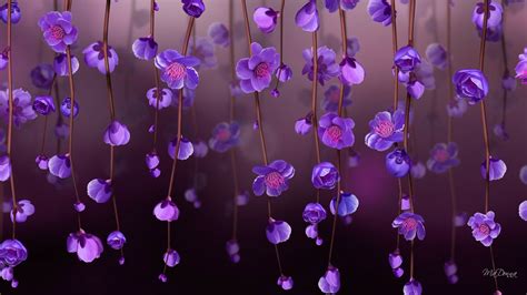Purple Blossoms By Ma Donna