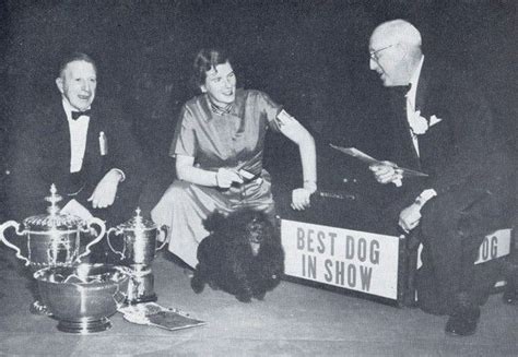 Nothing to lose (1996) by twinkie clark feat. 1961. Ch. Cappoquin Little Sister. Toy Poodle. Owner: Miss ...