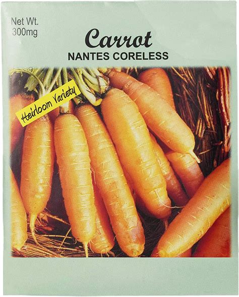 Set Of 25 Carrot Nantes Coreless Vegetable Seed Packs