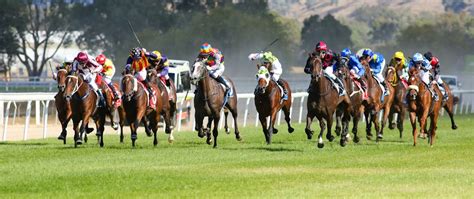 Albury Gold Cup Information Albury Racing Club Country Racing At
