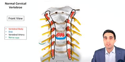 Cervical Spine Surgery Surgeon Explains Spine Info