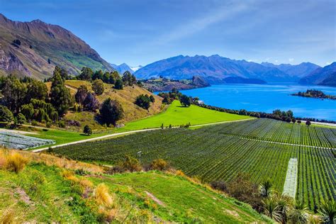 South Island Tour Queenstown Te Anau Wanaka Akaroa Christchurch