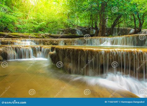 Deep Forest Waterfall In Thailand Stock Image Image Of National