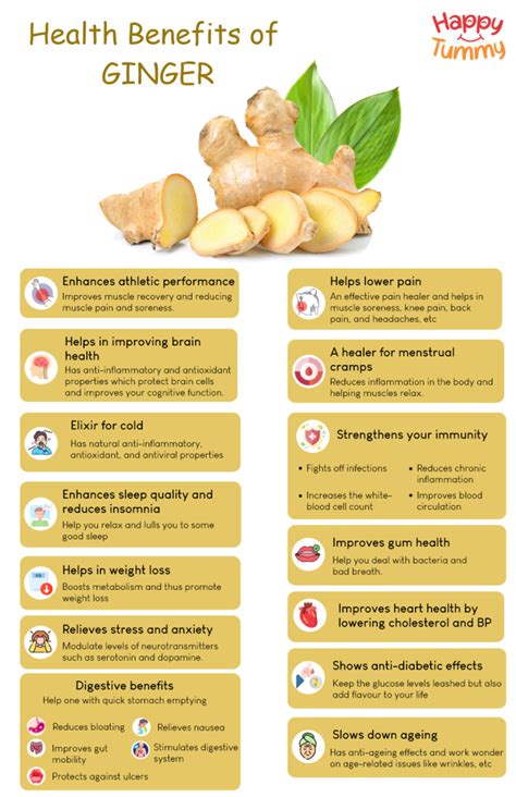 Top Hidden Benefits Of Ginger Happytummy
