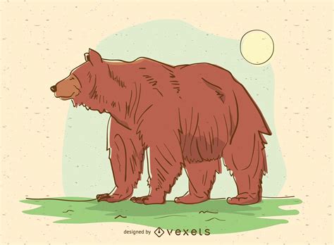 Baixar Vetor De Urso Animal Desenho Ilustração