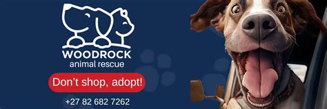 Woodrock Animal Rescue On Quicket