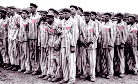 a european country has opened the first concentration camps for gay people since hitler [video