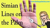 Understanding the Simian line and other Palm Lines Palmistry Lesson - YouTube