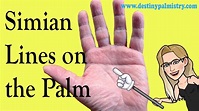 Understanding the Simian line and other Palm Lines Palmistry Lesson ...