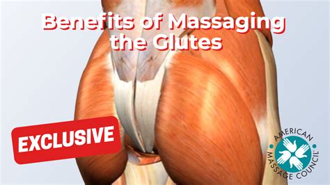 Benefits Of Massaging The Glutes American Massage Council