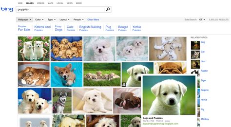Bings Image Search Gets A New Look Updated Features Search Engine Land