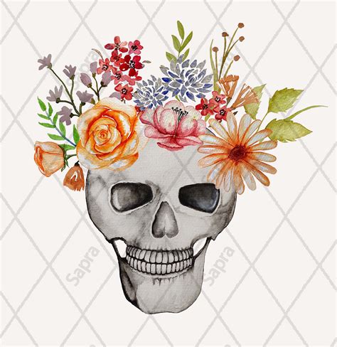 Skull And Flowers Collection Hand Painted Watercolor Elements Skull