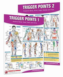 Buy Trigger Point Therapy Chart Poster Set Acupressure Charts