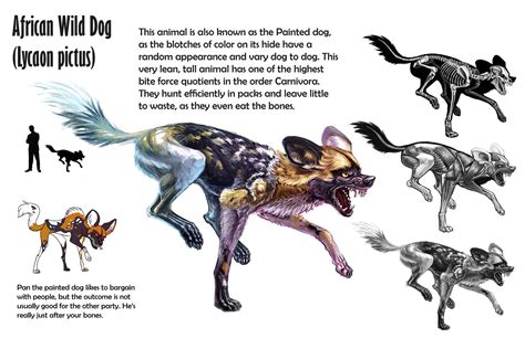 Painted Dog Sheet By Tikall On Deviantart