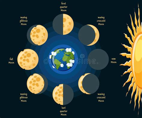 Phases Of The Moon Clipart Education