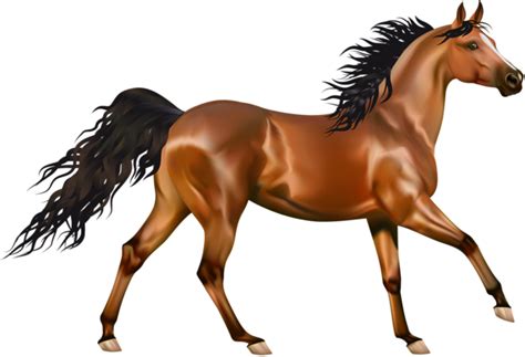 Mustang with serious look and wavy. Transparent Brown Horse PNG Clipart | Horses, Beautiful ...