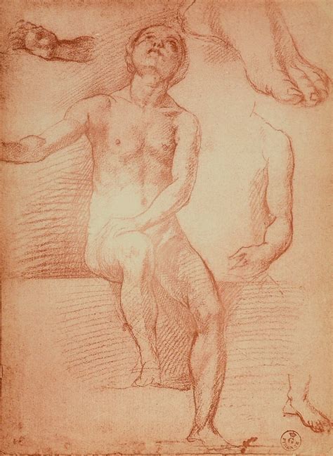 Study Of A Nude Figure And Human Limbs Drawing By Andrea Del Sarto