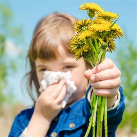 Alergia Al Polen En Niños