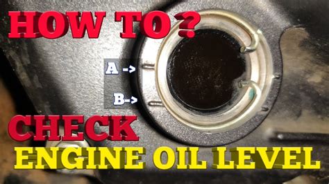 The shop manual says to check the oil either hot or cold. Check Engine Oil Level - YouTube