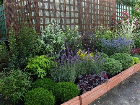 Low Maintenance Garden Plants Uk Urban Style Design