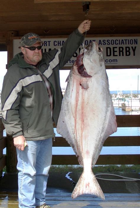 Great halibut fishing success leads to shorter seasons | The Spokesman ...