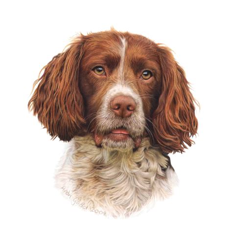 15 realistic dog drawings and artworks from famous artists. Aron Gadd Pet Portrait Gallery