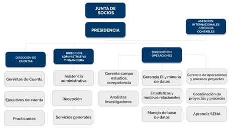 Estructura Organizacional De Una Empresa Ltda 2020 Idea E Inspiración