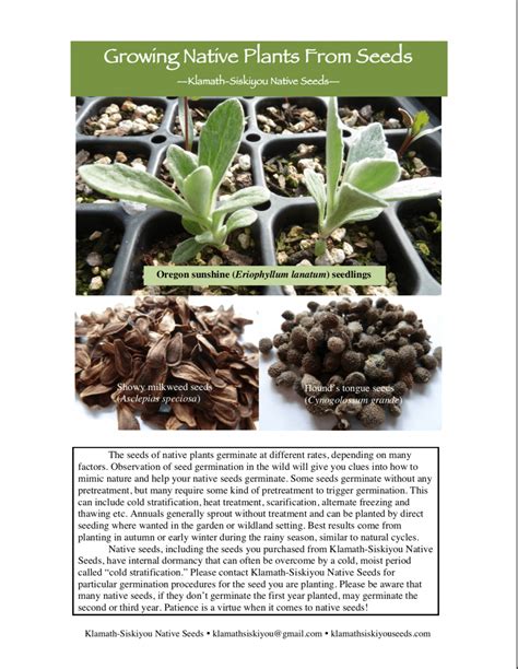 Seed Germination And Propagation Reference Guide Klamath Siskiyou Native Seeds