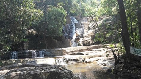 Vazhvanthol Waterfalls Trek One Day Trip From Thiruvananthapuram Route