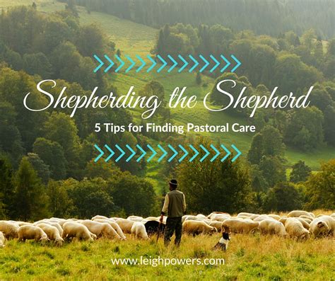 Shepherding The Shepherd 5 Tips For Pastoral Care For Women In Ministry