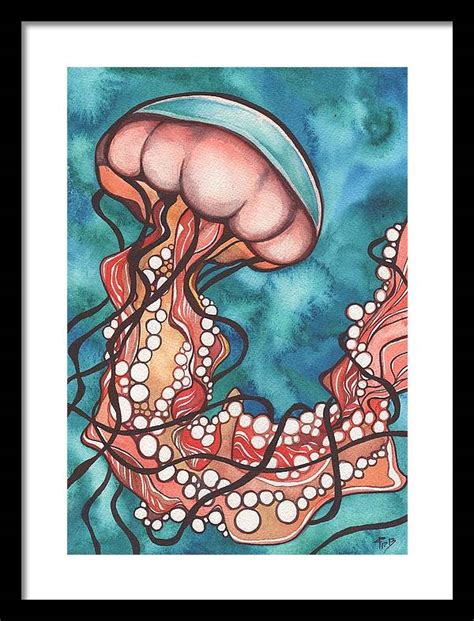 Coral Sea Nettle Jellyfish Framed Print By Tamara Phillips