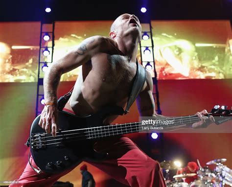 Bassist Michael Flea Balzary Of Red Hot Chili Peppers Performs