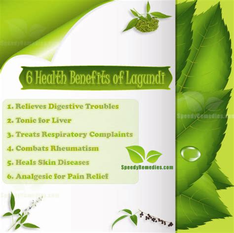 6 Remarkable Health Benefits Of Lagundi Speedy Remedies