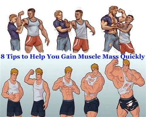 8 Tips To Help You Gain Muscle Mass Quickly