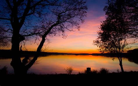 Wallpaper Sunlight Trees Landscape Sunset Lake Water Nature