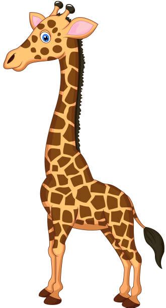 A Tall Cute Giraffe Illustration Illustrations Royalty Free Vector