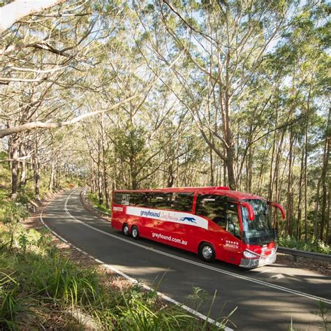 Cairns To Sydney Greyhound East Coast Whimit Bus Pass 289