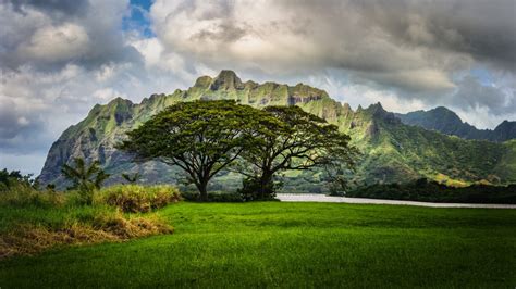 Wallpaper Sunlight Landscape Nature Grass Sky Field