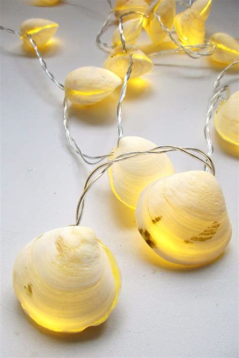 Welcome to california seashell company retail! 15 Wonderful DIY Seashell Decor Ideas You Can Make This Summer