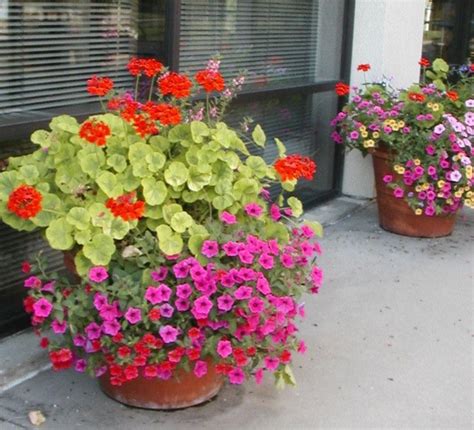 207 Best Images About Outdoor Flower Pots On Pinterest Planters Pot