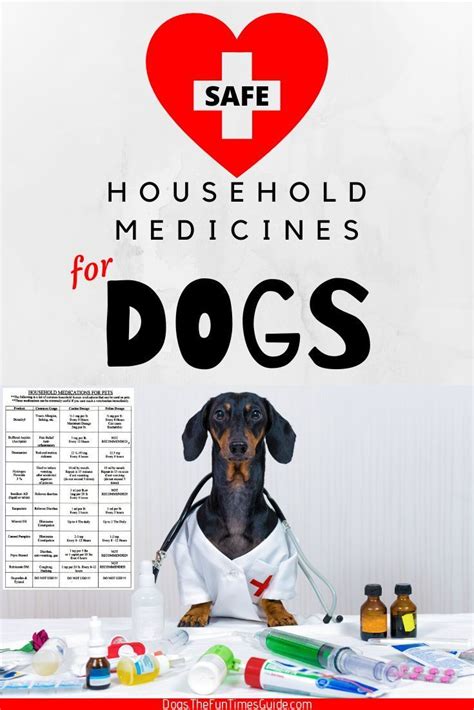Are Pet Meds From Australia Safe Pet Chemist Australia S Most Trusted