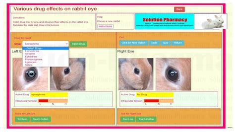 Mydriasis And Miosis Effect Of Drug On Rabbit Eyes हिंदी में