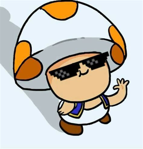 Mlg Orange Toad Wiki Mario Amino