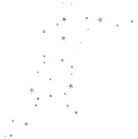Star PNG Image Transparent Image Download Size X Px