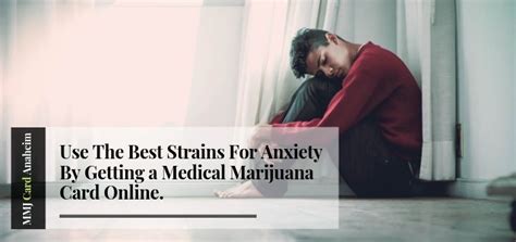 View more avon and somerset police news. Use the best strains for anxiety by getting a medical marijuana card online.