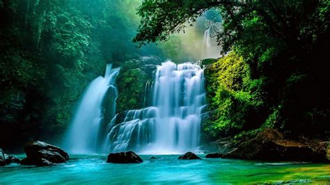 Wonderful Tropical Waterfall Jungle Green Tropical