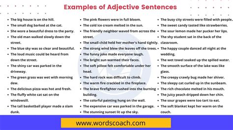 Examples Of Adjective Sentences In English Word Coach