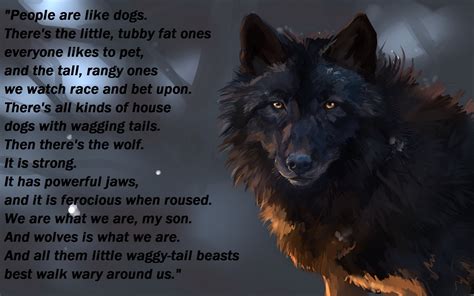 Wolf Wolves Predator Carnivore Typography Text Quote Wallpapers